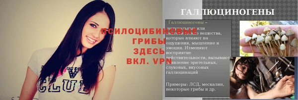 герыч Новодвинск