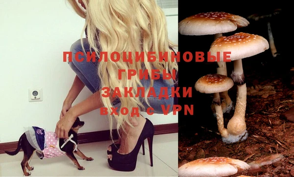 герыч Новодвинск