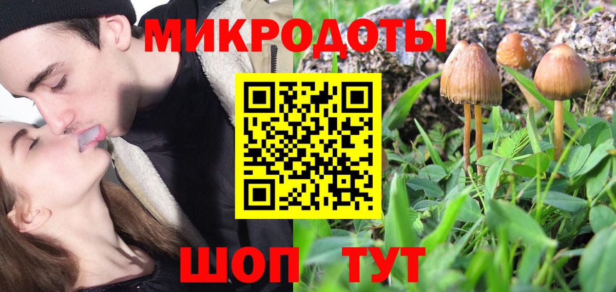Галлюциногенные грибы Psilocybe Отрадный
