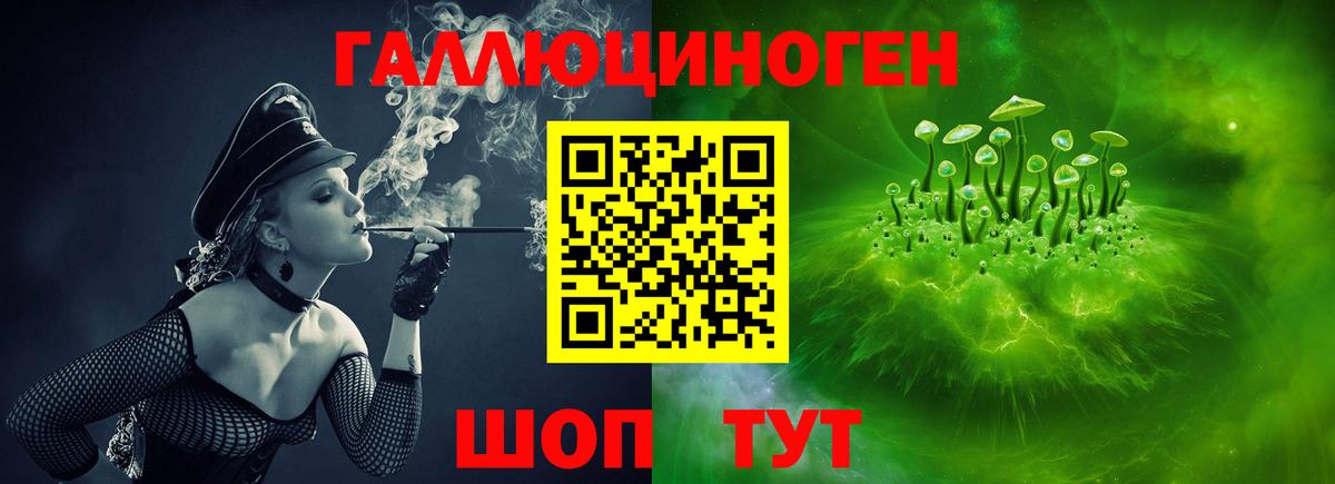 наркошоп  Вход с VPN  Отрадный  Псилоцибиновые грибы GOLDEN TEACHER 